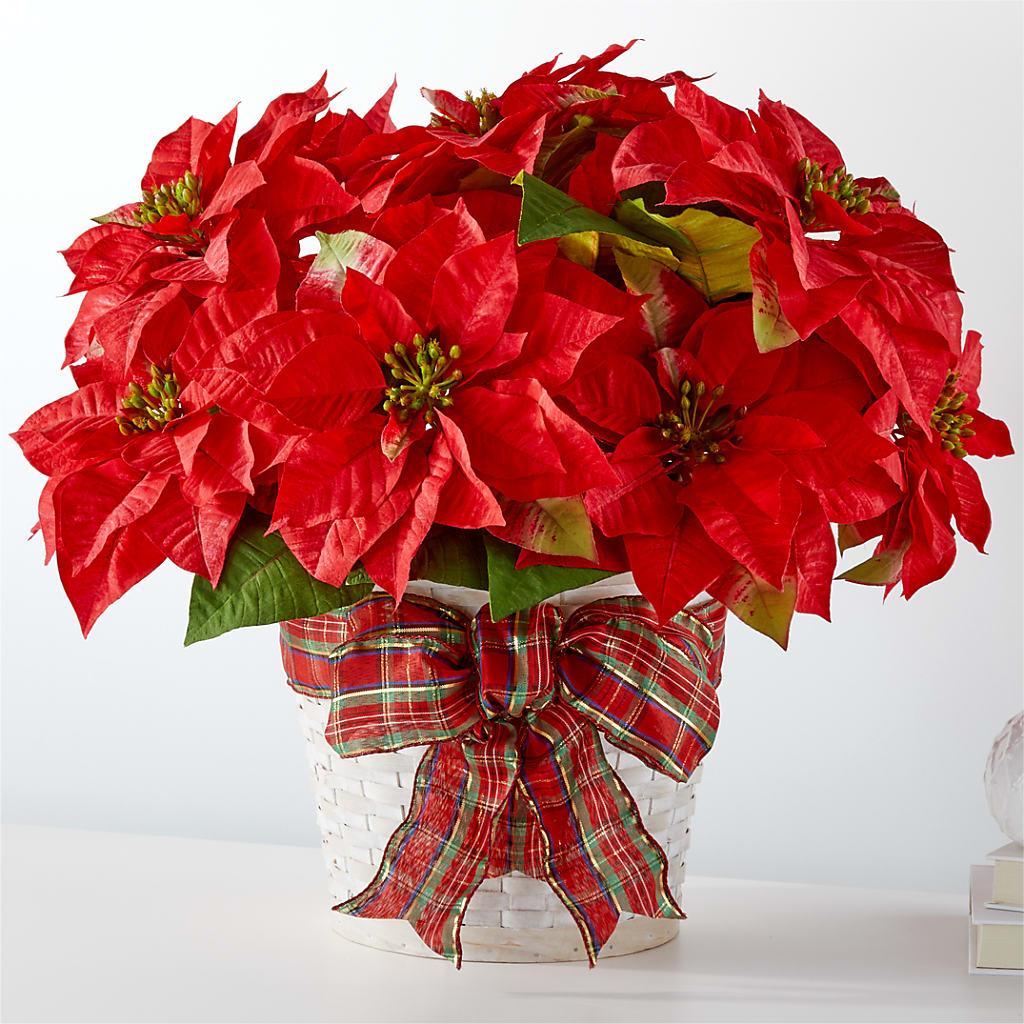 Happiest Holidays Poinsettia – SUSPENDED IN TIME FLORAL & PRESERVATION, Syracuse UT