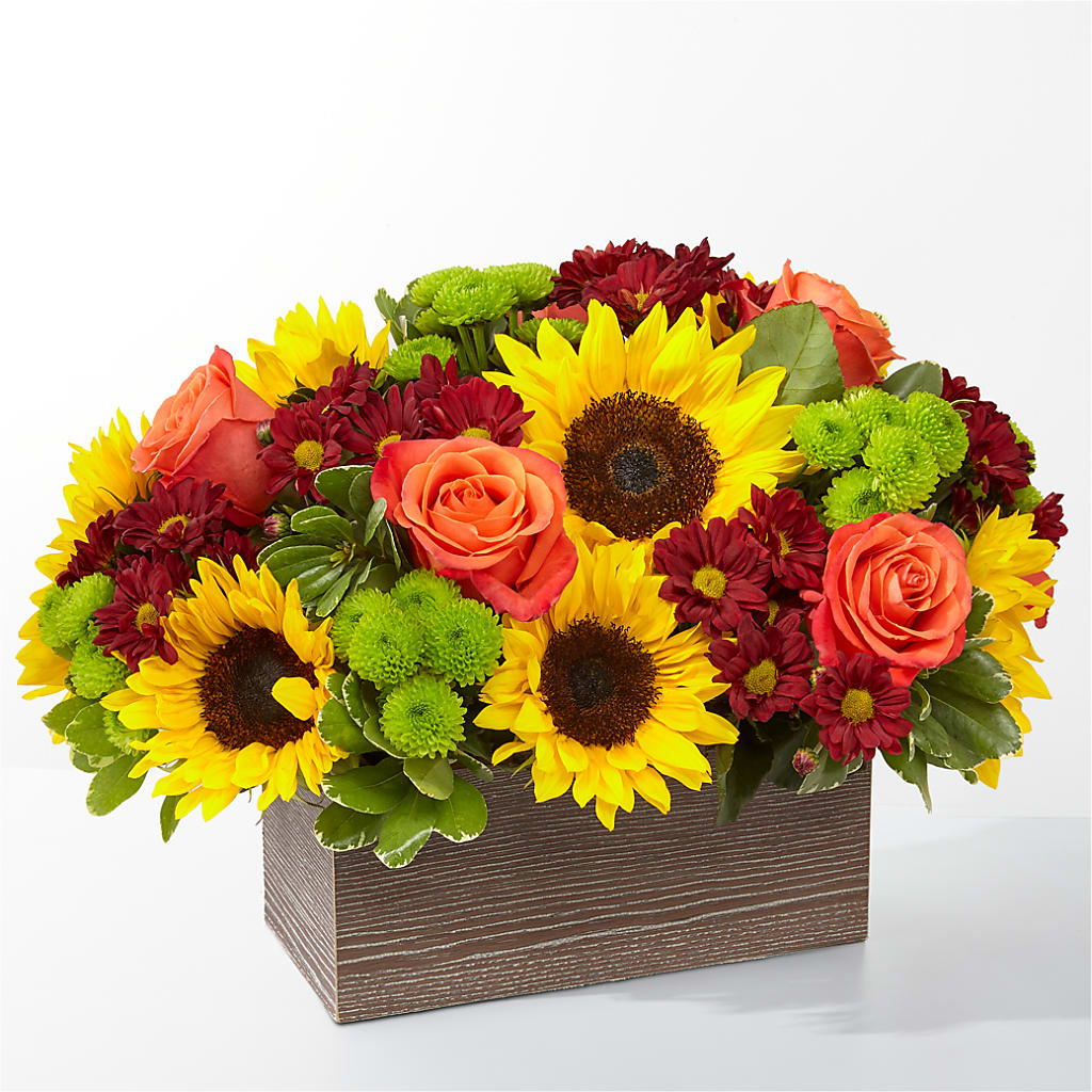 Happy Harvest Garden – SUSPENDED IN TIME FLORAL & PRESERVATION, Syracuse UT