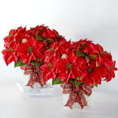 Happiest Holidays Poinsettia Bundle – SUSPENDED IN TIME FLORAL & PRESERVATION, Syracuse UT