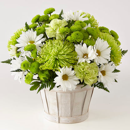Lucky Charm Basket (Standard) – SUSPENDED IN TIME FLORAL & PRESERVATION, Syracuse UT