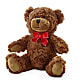 Adorable Plush Bear – SUSPENDED IN TIME FLORAL & PRESERVATION, Syracuse UT