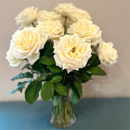 Long Stem Yellow Rose Bouquet – SUSPENDED IN TIME FLORAL & PRESERVATION, Syracuse UT