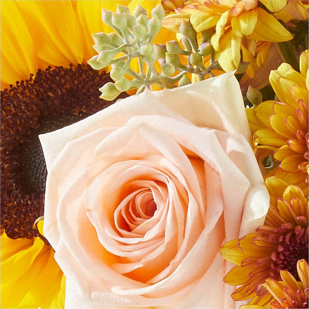 Pumpkin to Talk About Bouquet – SUSPENDED IN TIME FLORAL & PRESERVATION, Syracuse UT