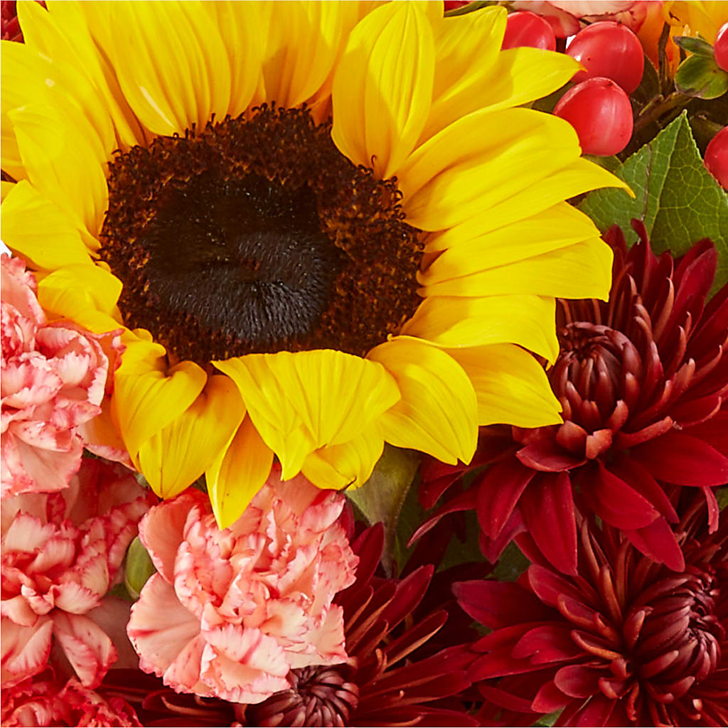 Fresh Cider Bouquet – SUSPENDED IN TIME FLORAL & PRESERVATION, Syracuse UT