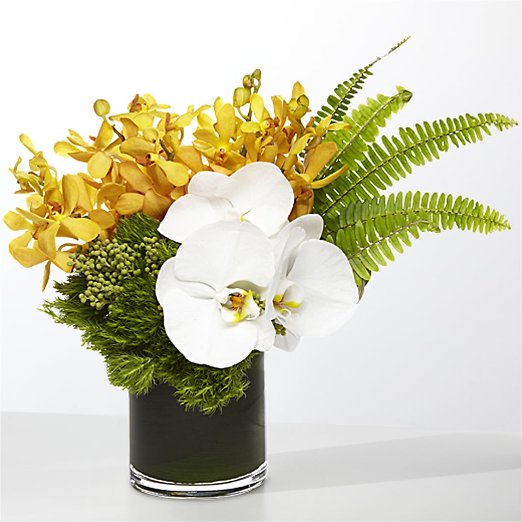 The Tropics – SUSPENDED IN TIME FLORAL & PRESERVATION, Syracuse UT