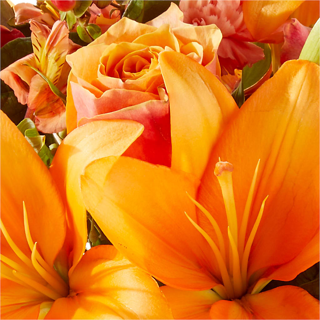 Afternoon Light Bouquet – SUSPENDED IN TIME FLORAL & PRESERVATION, Syracuse UT