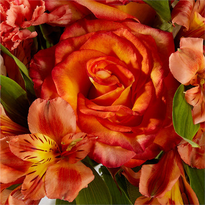 Apricot Glow Bouquet – SUSPENDED IN TIME FLORAL & PRESERVATION, Syracuse UT