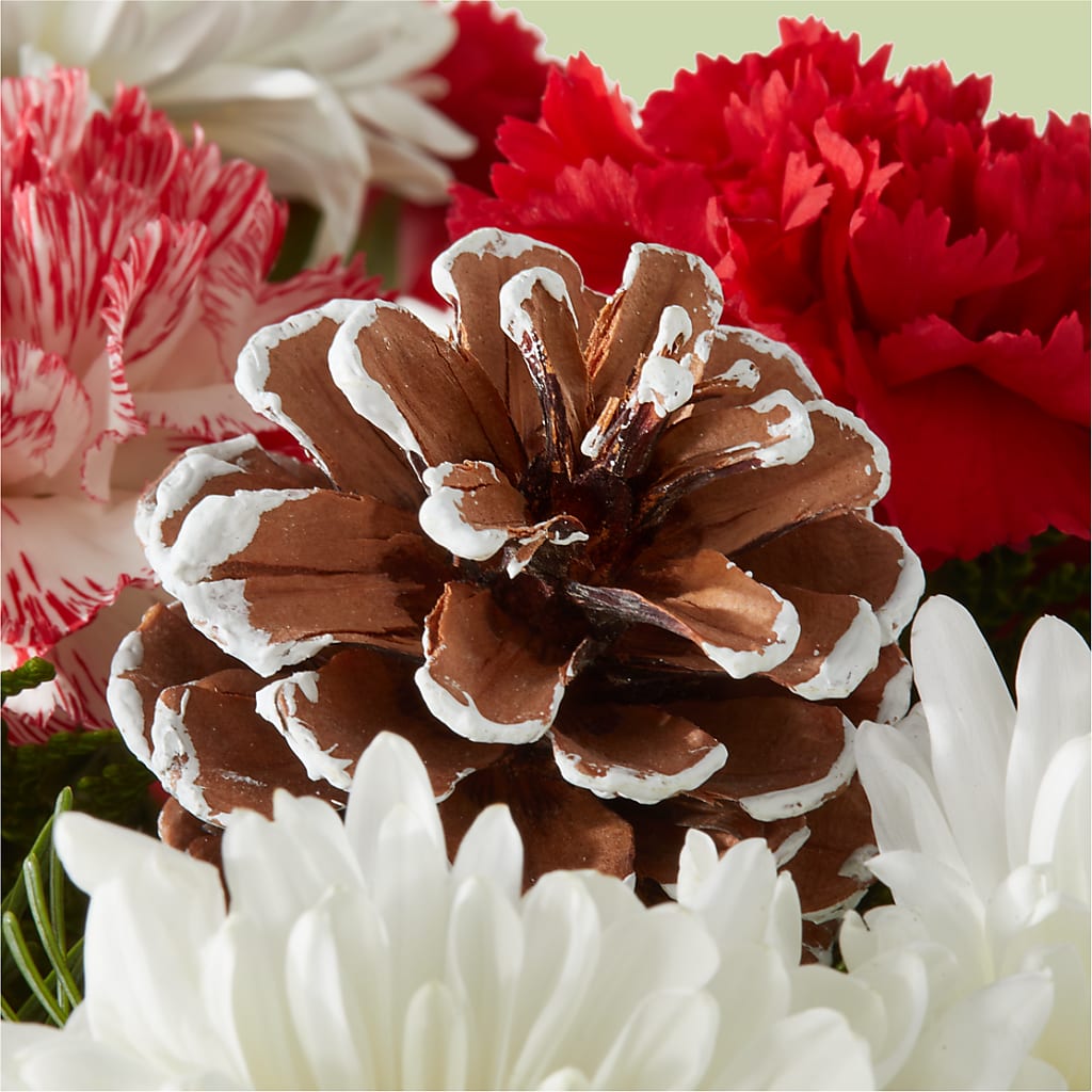 Candy Cane Lane Bouquet – SUSPENDED IN TIME FLORAL & PRESERVATION, Syracuse UT