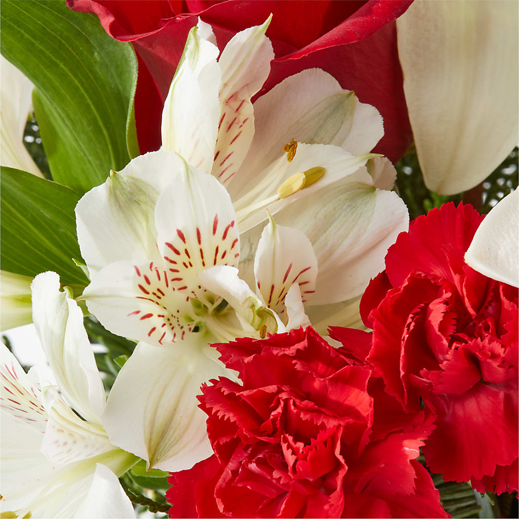 Holiday Season Bouquet – SUSPENDED IN TIME FLORAL & PRESERVATION, Syracuse UT