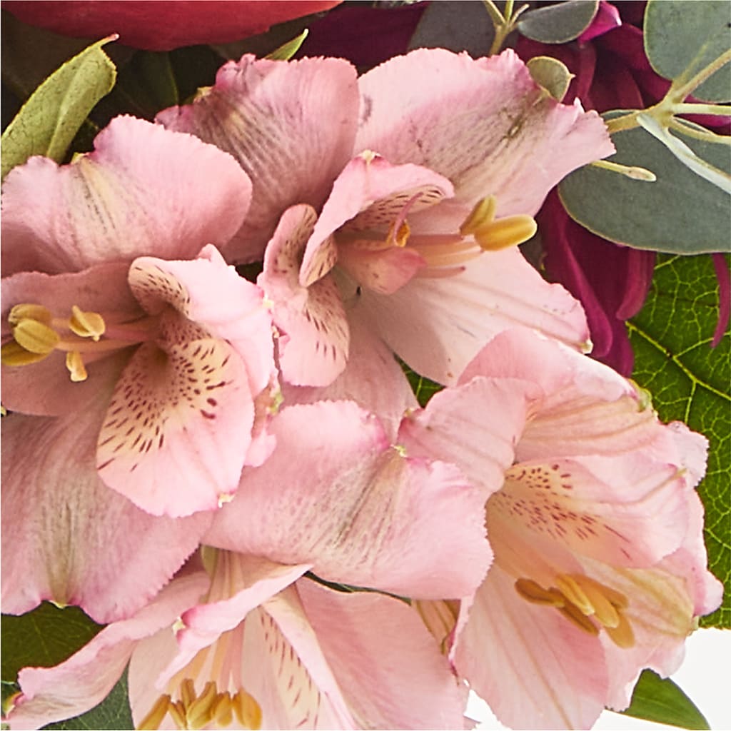 Berry Cobbler Bouquet – SUSPENDED IN TIME FLORAL & PRESERVATION, Syracuse UT