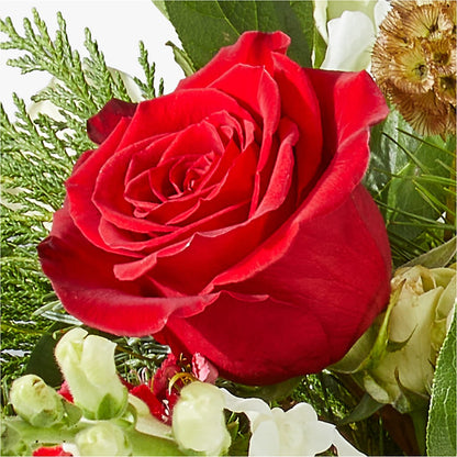 Deck the Halls Bouquet – SUSPENDED IN TIME FLORAL & PRESERVATION, Syracuse UT