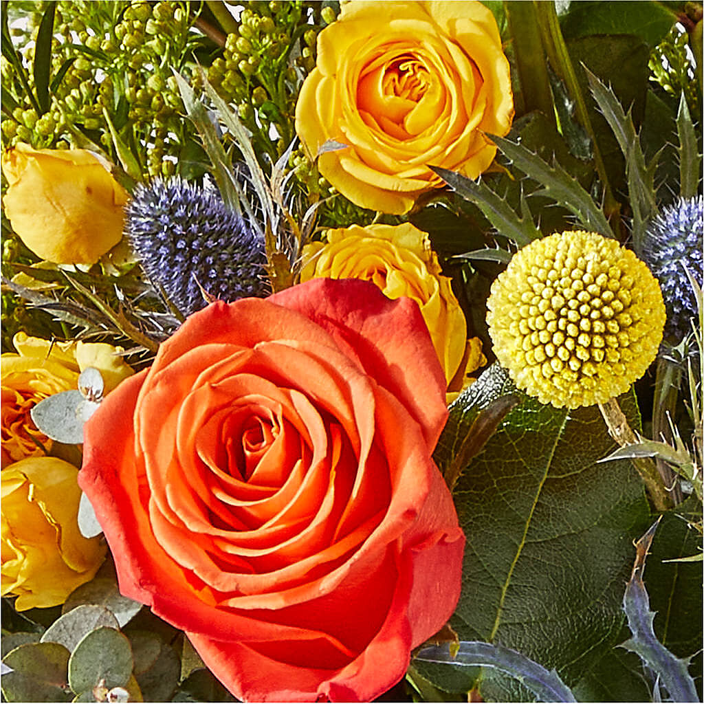 Disco Bouquet – SUSPENDED IN TIME FLORAL & PRESERVATION, Syracuse UT