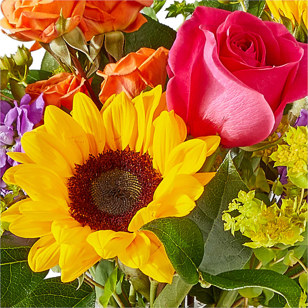 Vibrant Greetings Bouquet – SUSPENDED IN TIME FLORAL & PRESERVATION, Syracuse UT