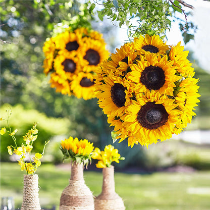 Sublime Garden Hanging Arrangement – SUSPENDED IN TIME FLORAL & PRESERVATION, Syracuse UT
